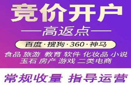 某行业巨头背后的SEM代运营服务公司